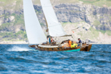 woodwind 6955y whyw16 thur 800 3316w
